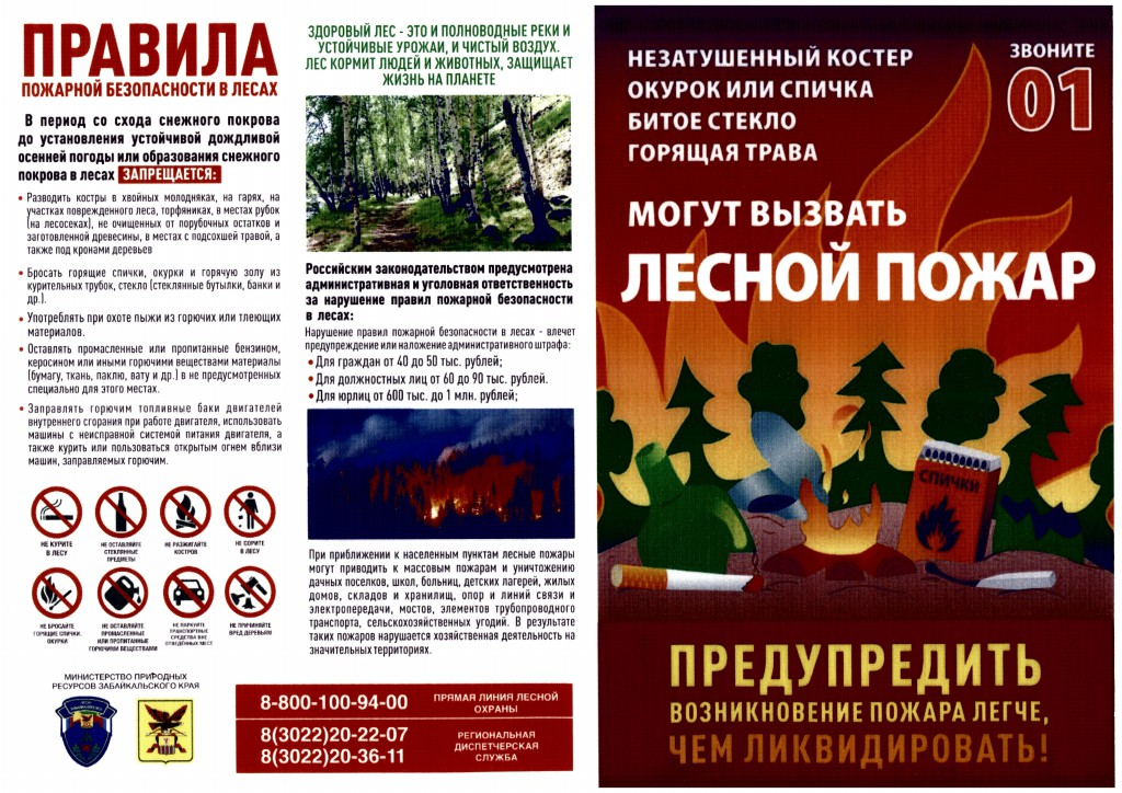 Фабрика ФорматовПравила пожарной безопасности в лесах